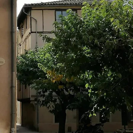 L'emplace Bleu Et Sa Fontaine Albi